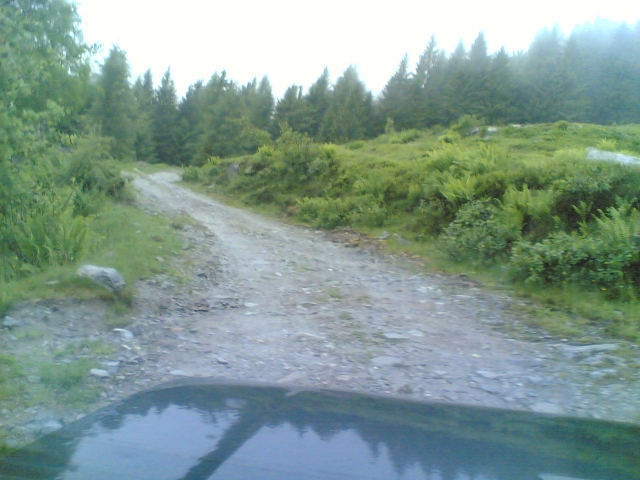03062011(005).jpg