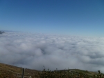 P1030474