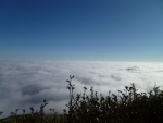 P1030477