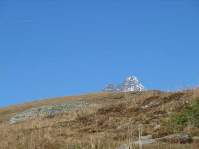 P1030481