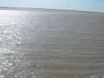 PICT1503.JPG