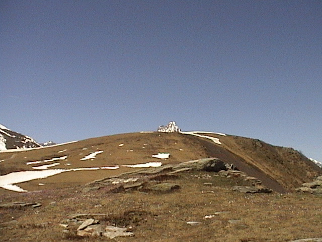 DSC00012.jpg