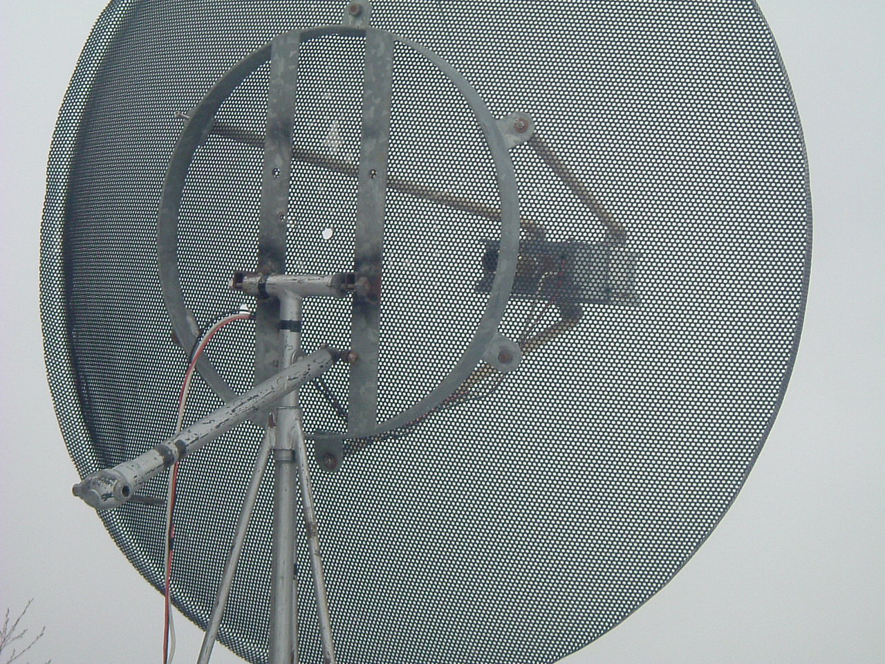 dscf0371.jpg