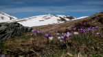 IMG_20150502_110012